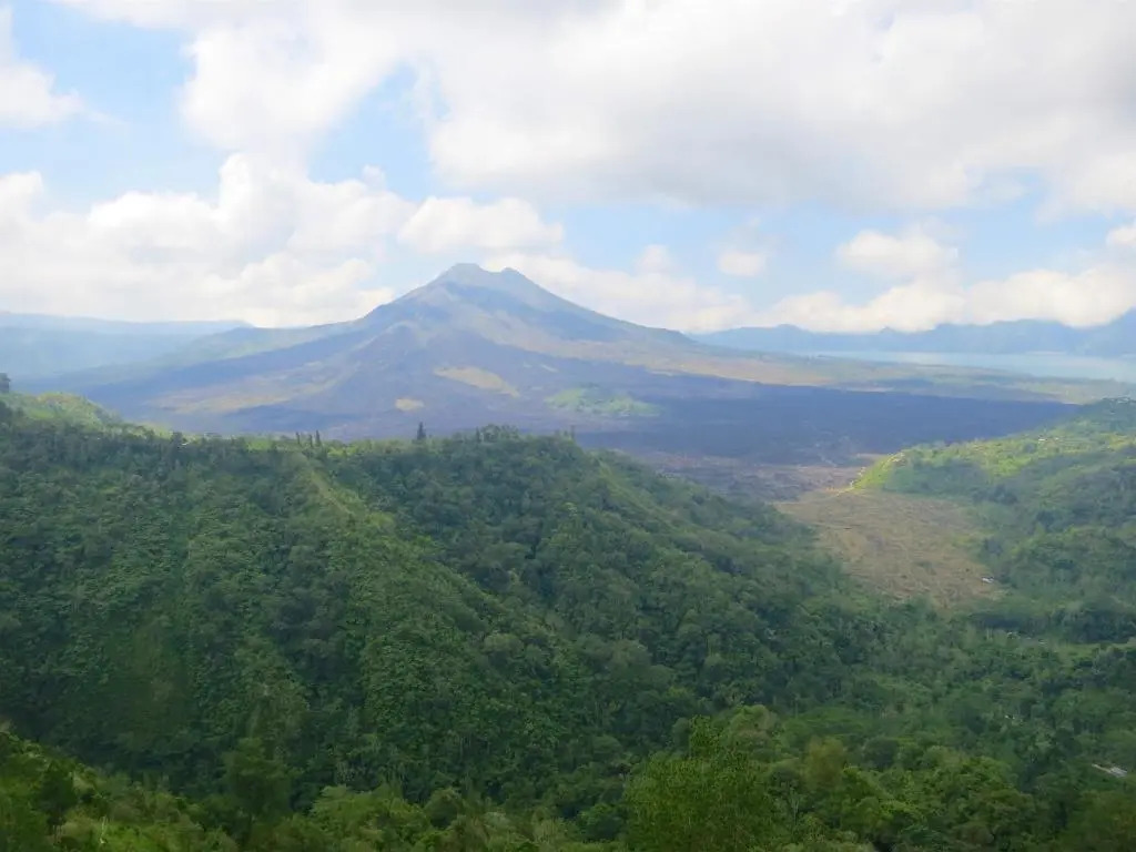 TEGAL SARI, Pemuteran- North Bali