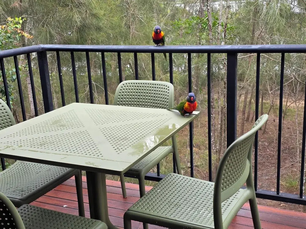 Noosa Holiday Accommodation