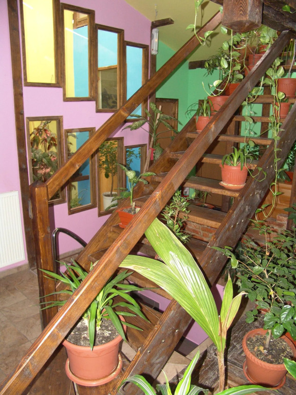 Pension Flamingo