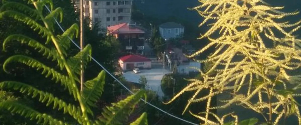 Sirt Yayla Butik Hotel