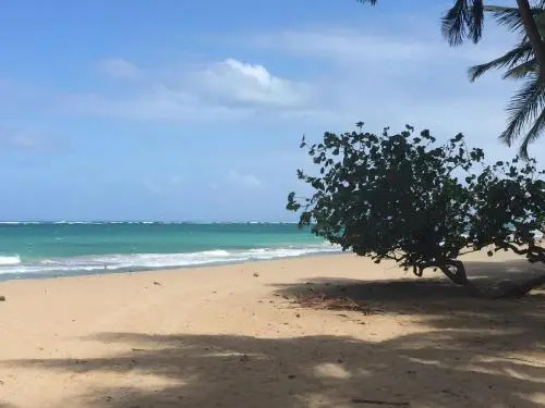 Kingsville Condado Studio Apartment