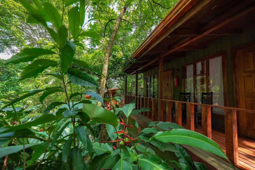 Jaguarundi Jungle Lodge - Monteverde