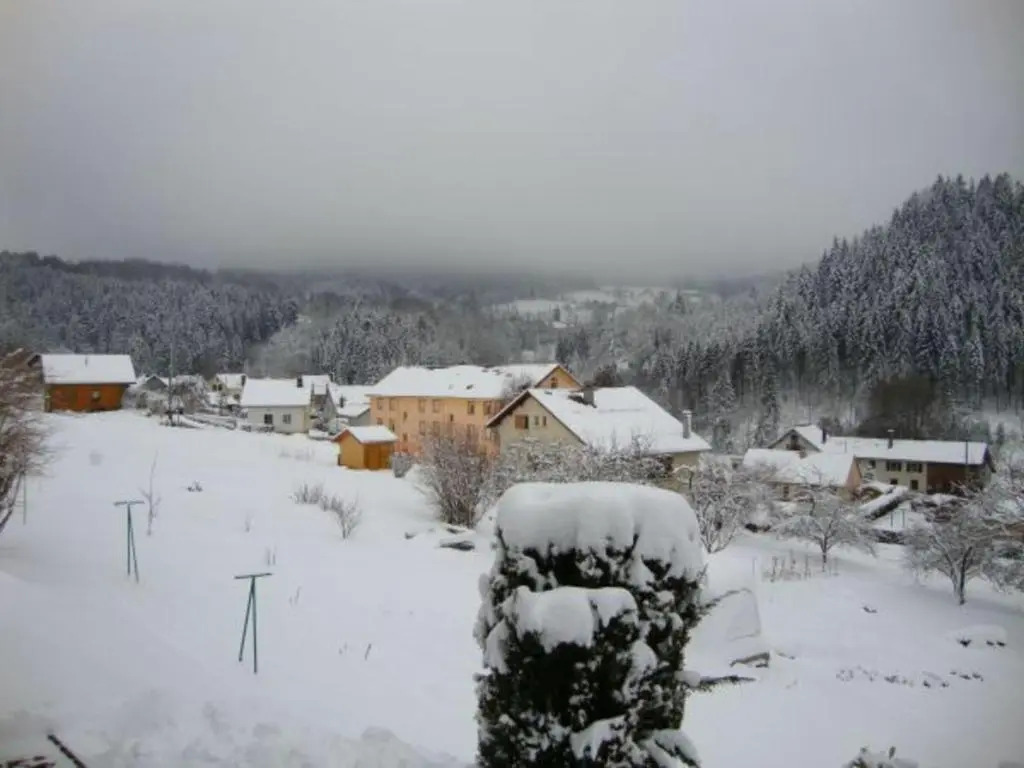 Gite Le Tholy, 2 pièces, 4 personnes - FR-1-589-129