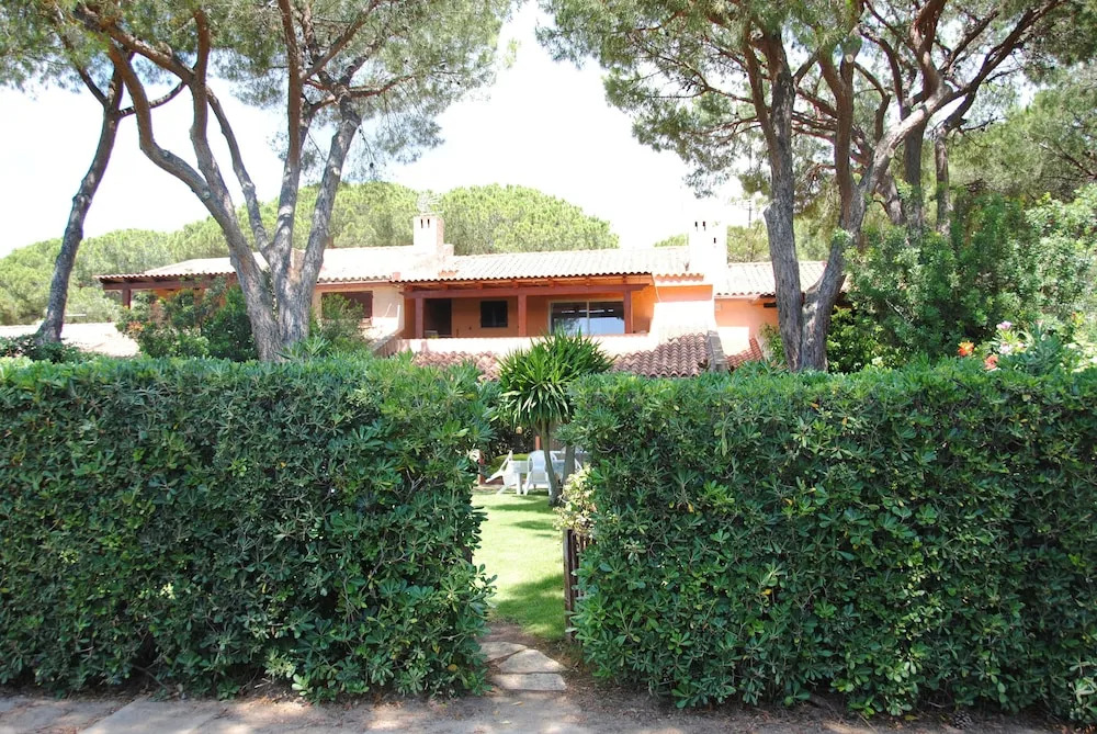 Una pineta sul Mare