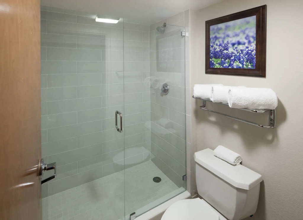 SpringHill Suites by Marriott Dallas Downtown / West End
