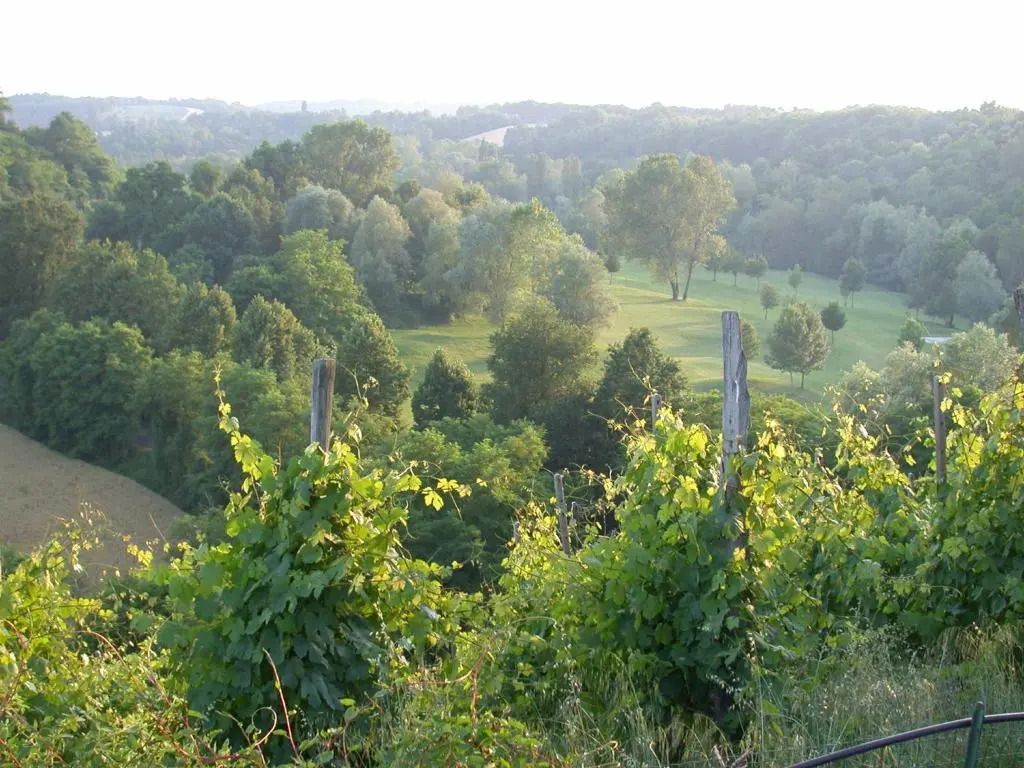Villa Bellaria B&B