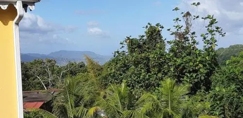 La créola