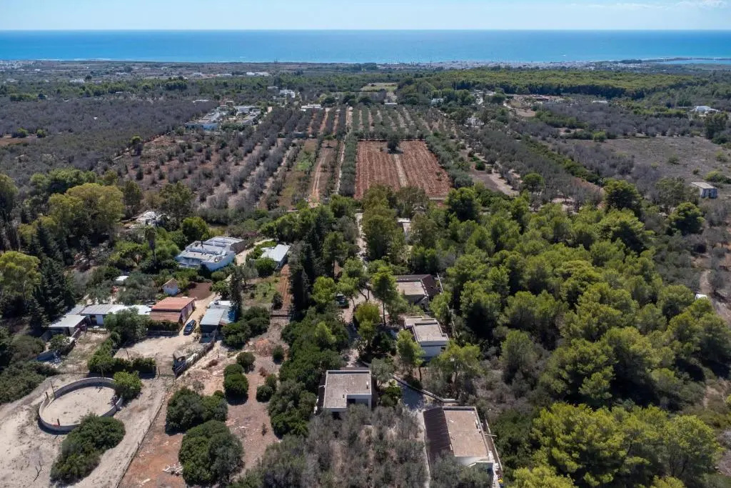 Tenuta la Saracina