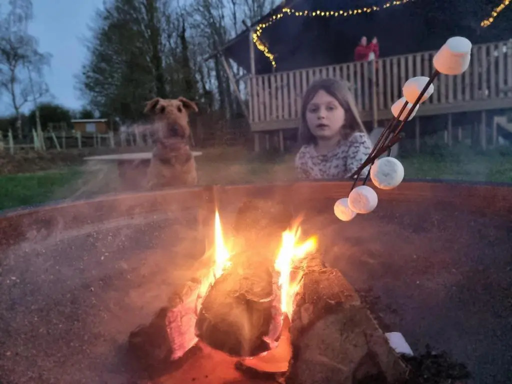 Orchid at Sunsets and Marshmallows
