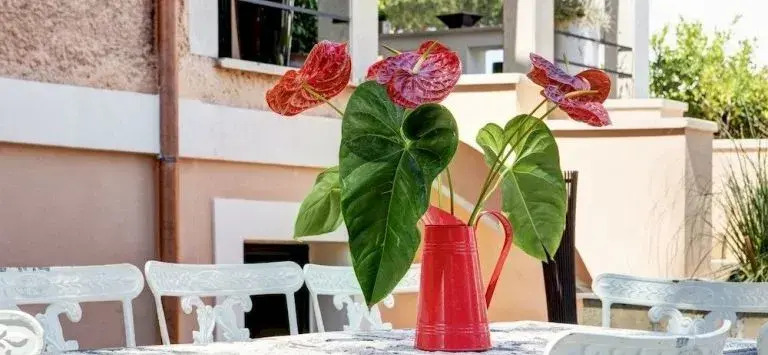 Appia Antica Resort