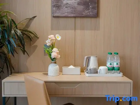 Lisi Future Hotel (Tongling Beidouxing City Government)