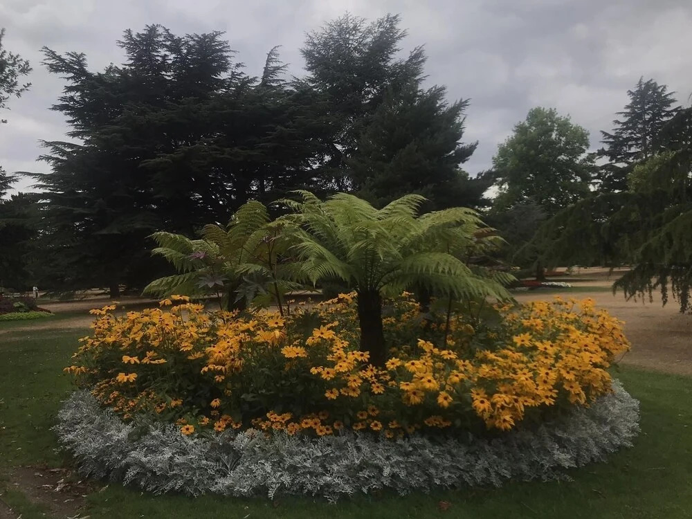 Charming 2-bed Apartment in London Greenwich Park