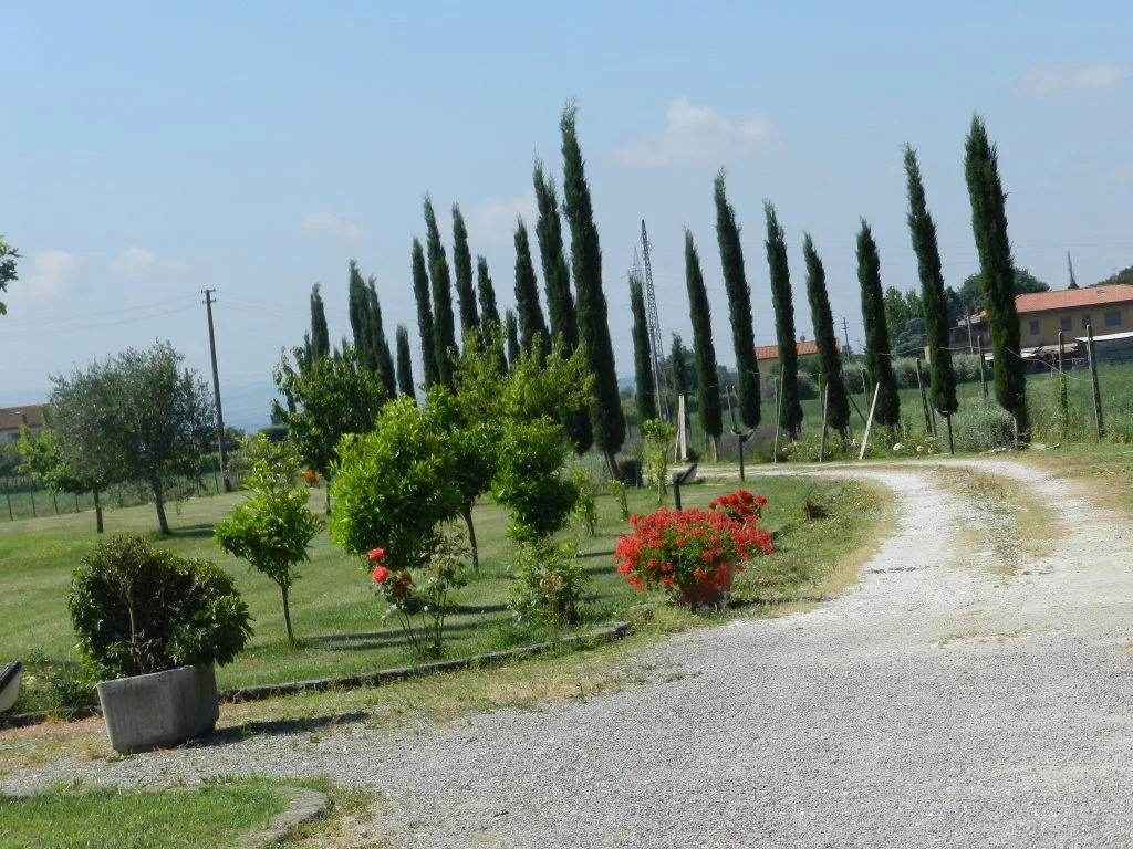 il Chiassetto Agriturismo No Kids