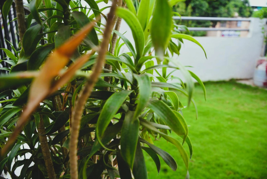 Malaiya Homestay - Grandeur Living Experience