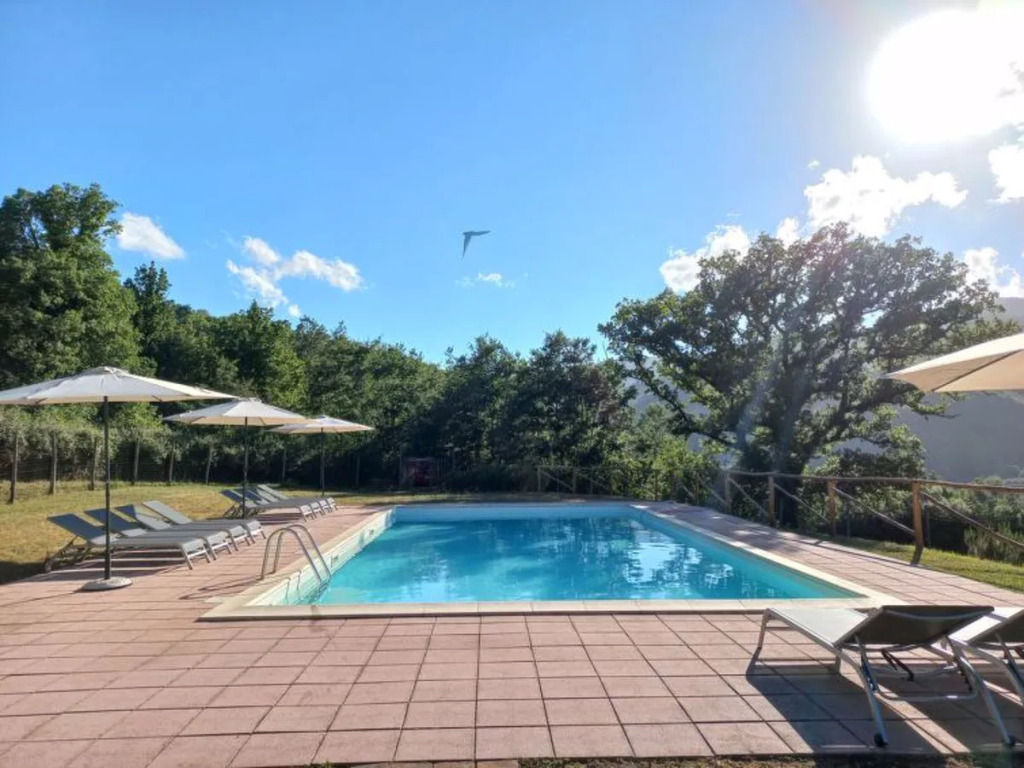 Belvedere 38846