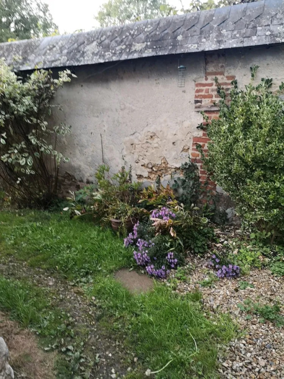 Le Vieux Manet