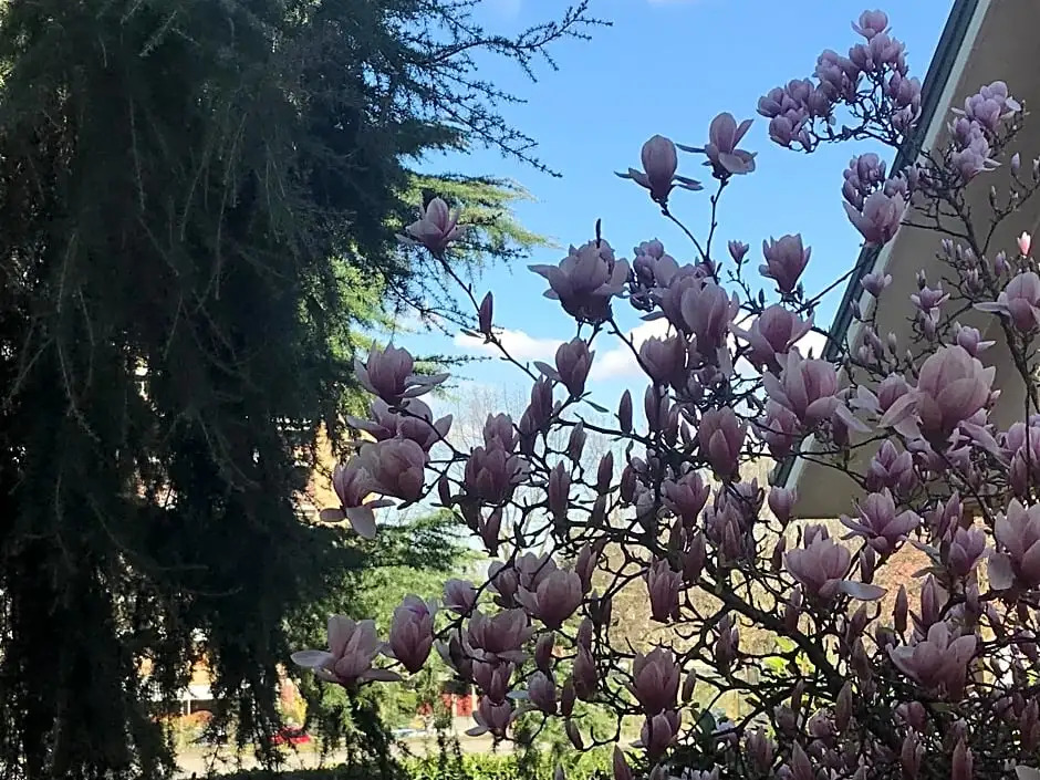 B&B Borgo dei Fiori