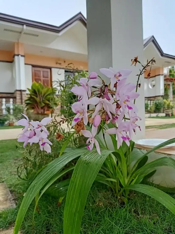 RMB GUEST HOUSE