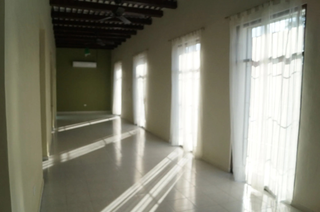 Hotel Casa Palomino
