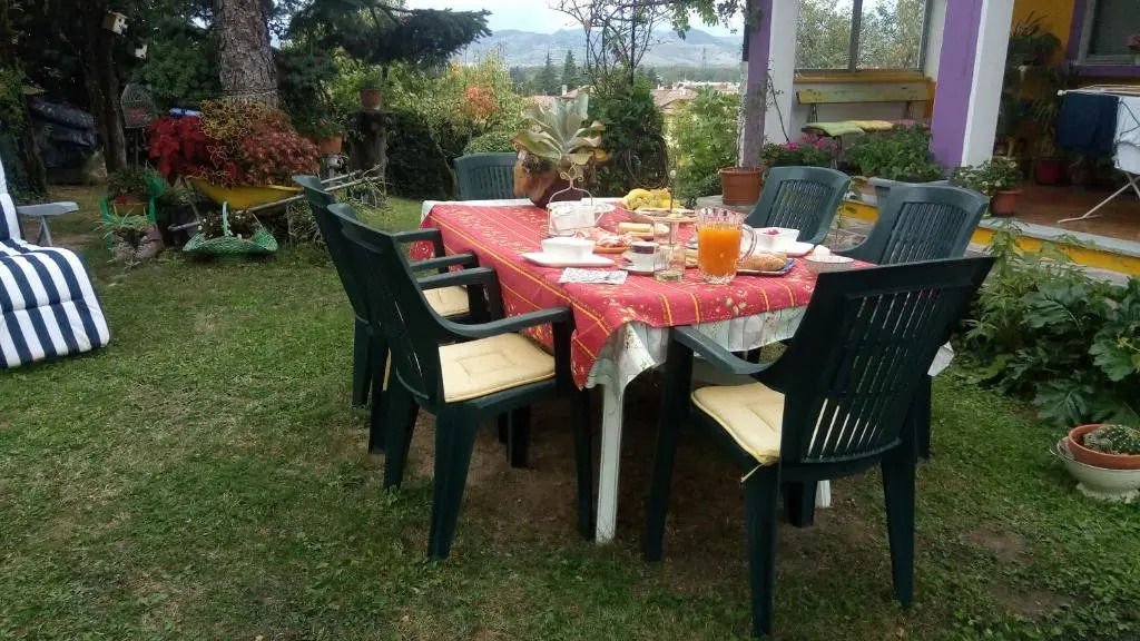Nel giardino di Oz