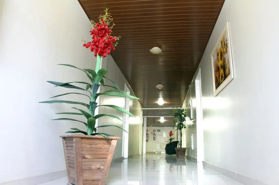 Hotel Orion Express