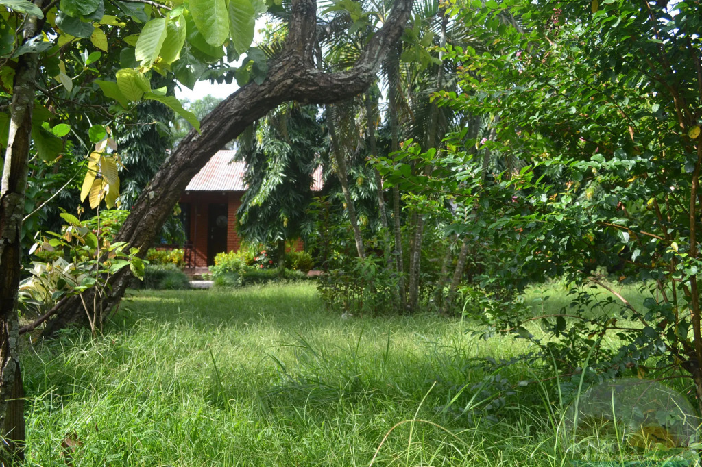 River View Jungle Camp