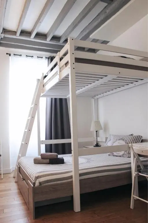 Parisian Flat