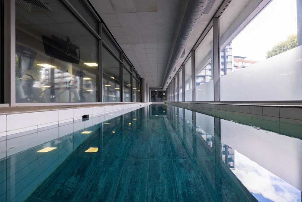 Beautiful and Spacious 2-bed Apartment in London