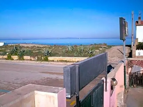 l'oleandro