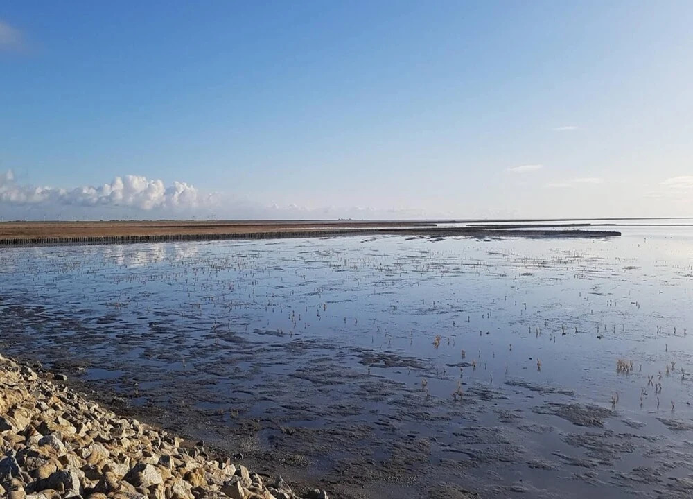 Exclusively Furnished 5-star Holiday Home With a Beach Chair Near the Beach