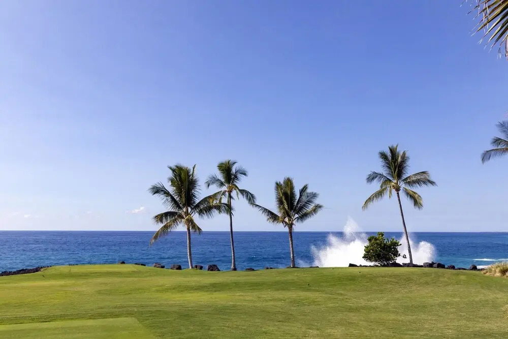 Hale Aloha #34