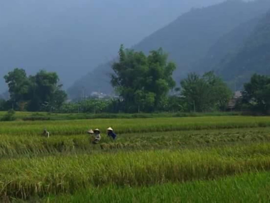 Hung Mech Homestay
