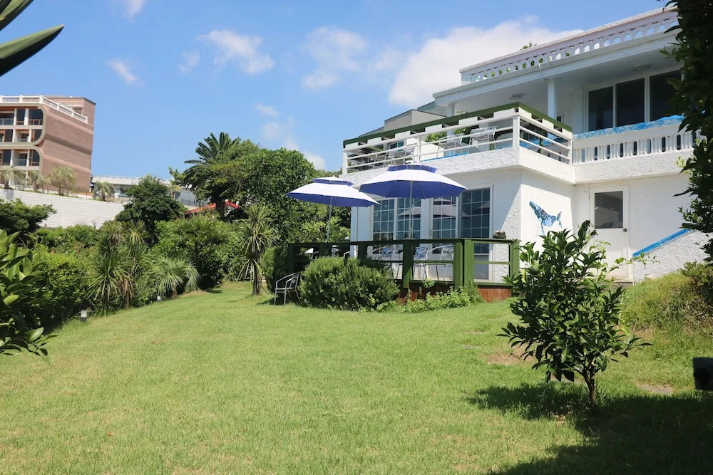 White Whale Guesthouse - Hostel