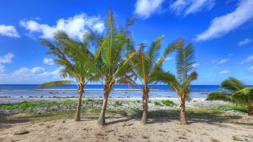 Tia Maria Retreat