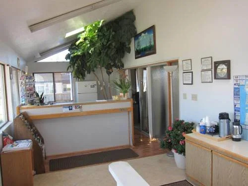 Newport City Center Motel