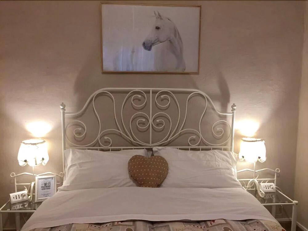 Biscuit B&B