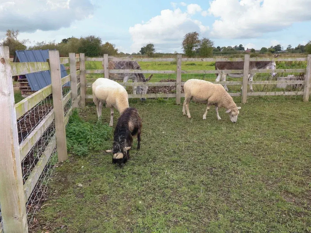 The Stable