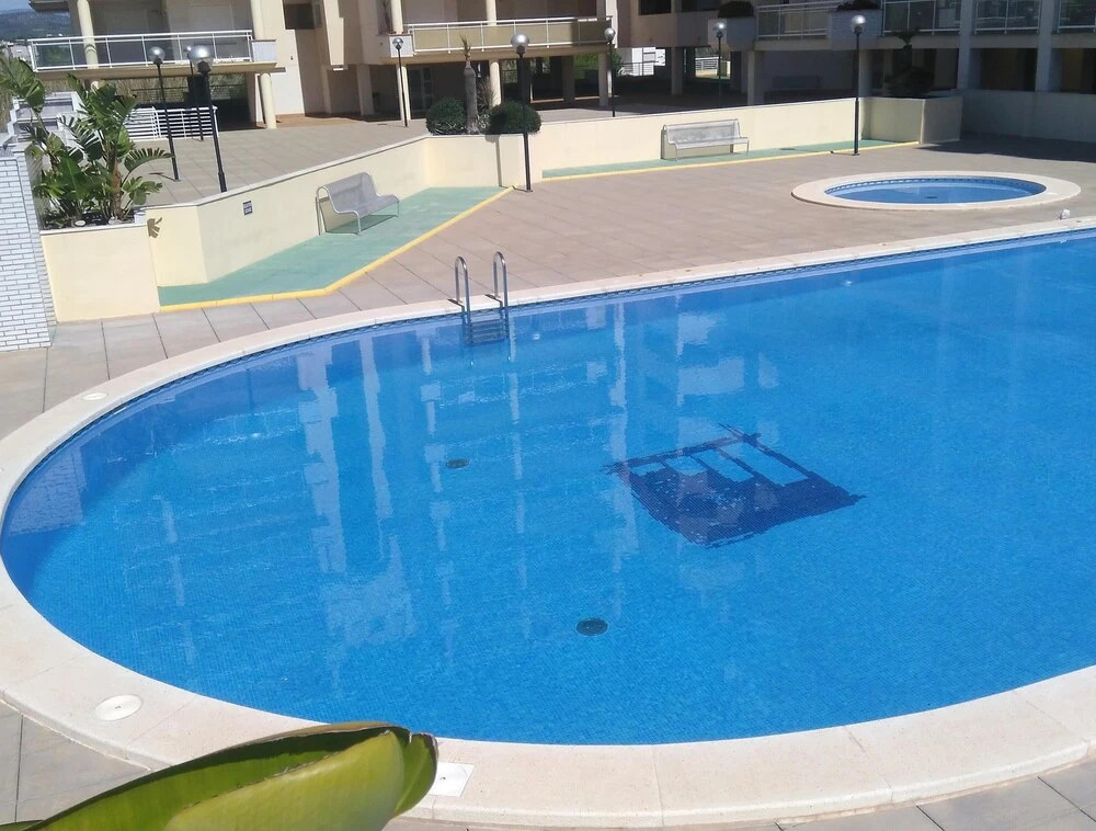 Apcostas Argenta Caleta