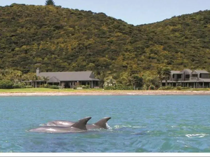 Pawhaoa Bay Villas