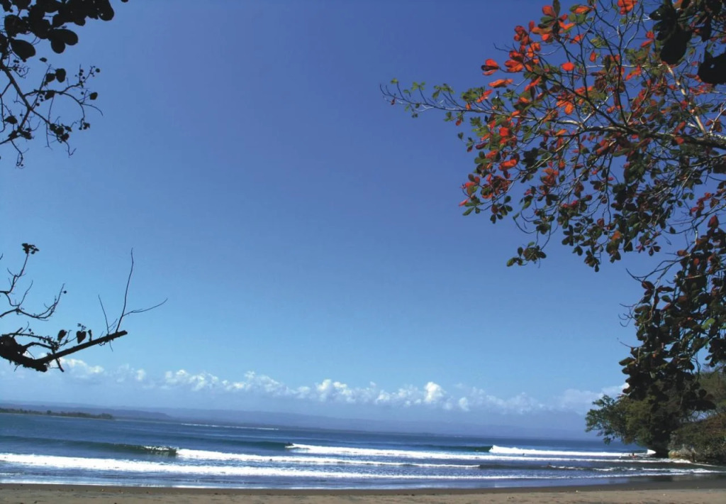 JavaCove Beach Hotel