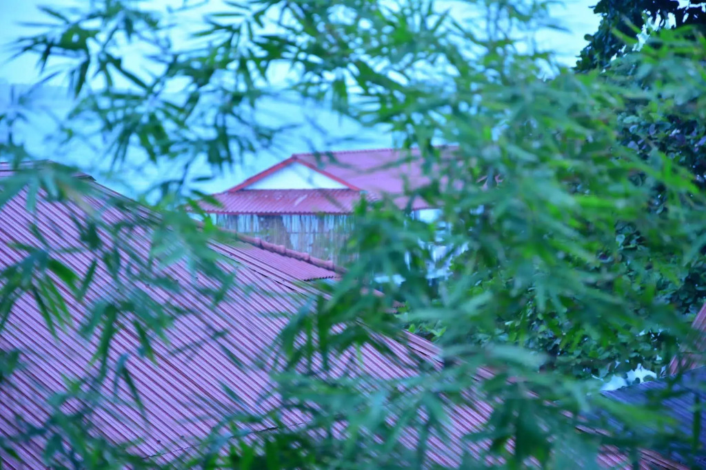 Tranquility Bungalows