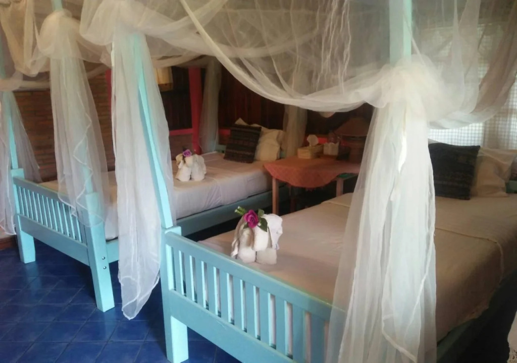 Orchid Hibiscus Guest House