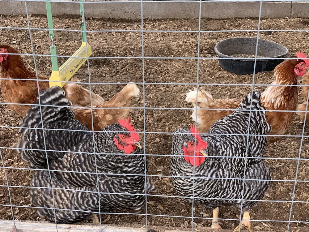 Wakefield Farms LLC