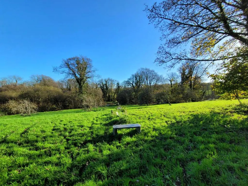 Farmhouse B&B Family stay or Romantic break, on our smallholding close to Narberth
