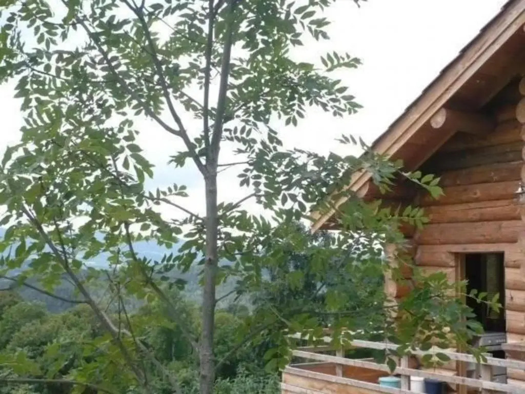 Chalet chaud, nature sauvage, internet PC, idéal randonnées - FR-1-496-184