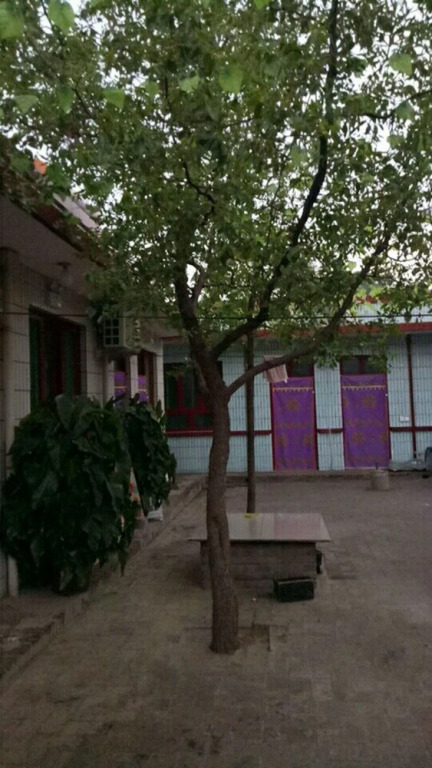 Pingyao Feng Sentai Inn