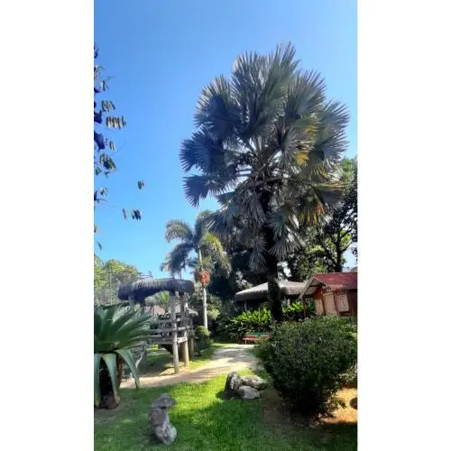 Sítio Nada é Por Acaso