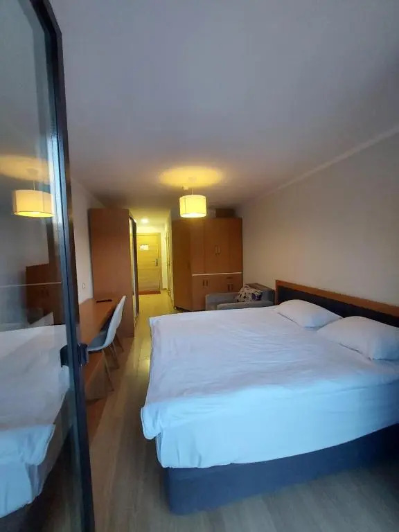 Bakuriani Orbi Palace Deluxe 330