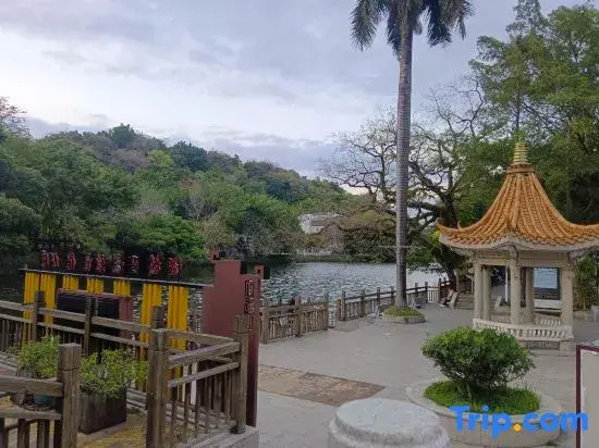 C hao zhou hu mei ren jia l n n