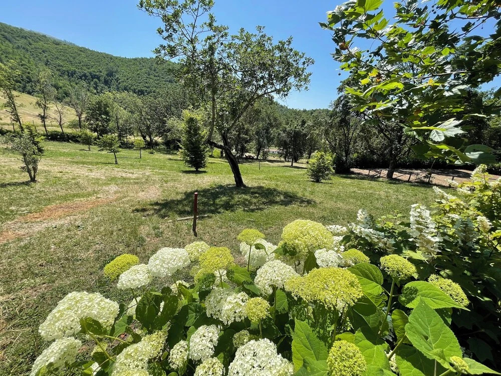 Spoleto Splash : Casetta/slps 4/5 Wifi/dishwasher - Beautiful Private Garden